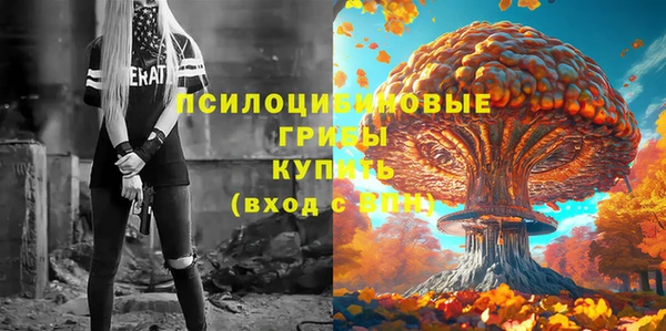 стаф Алексин