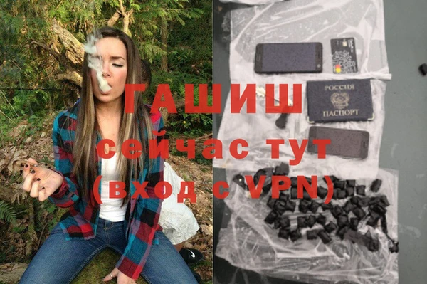 стаф Алексин