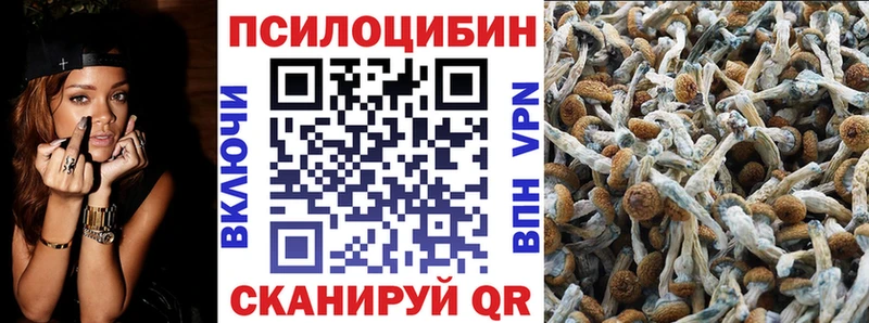 Галлюциногенные грибы Cubensis Бирюч
